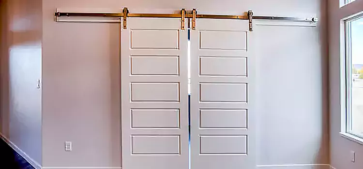 Glass Barn Door with Installation Hardware Kit Stockton